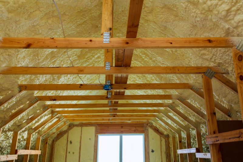Building Insulation Service in Longmont, CO